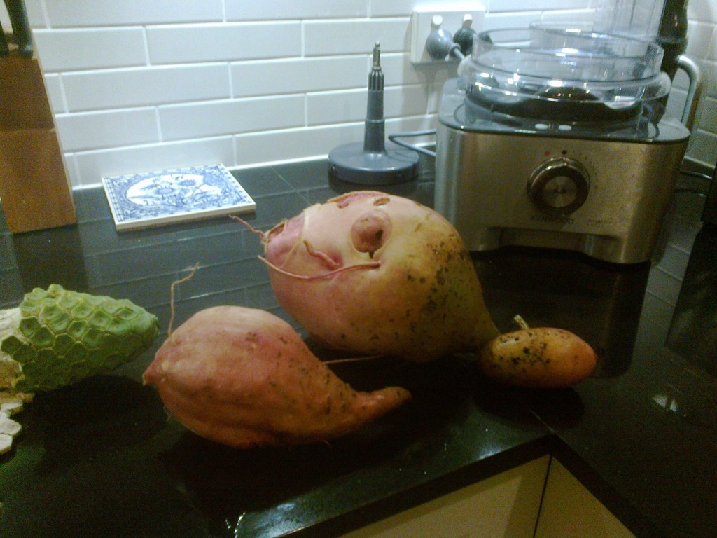 First sweet potato Feb 2013