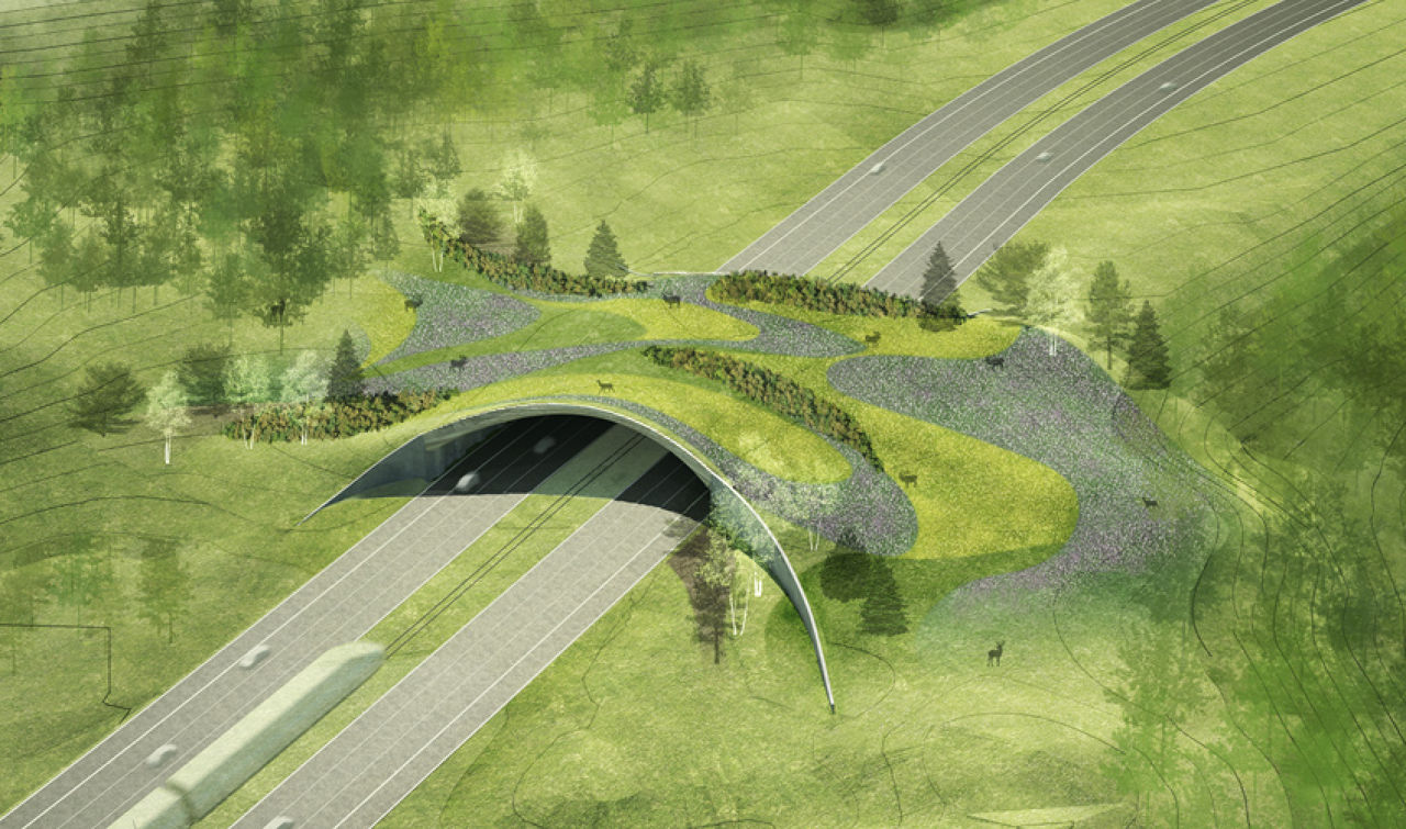 Wildlifecorridorimage